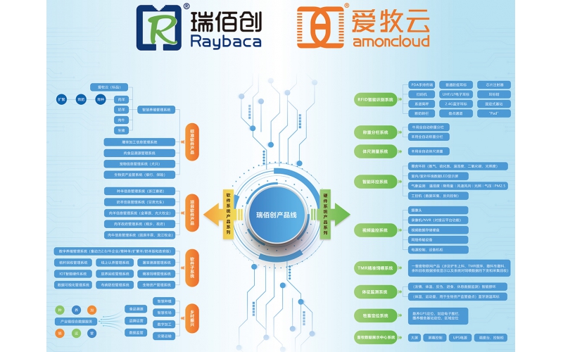 2025政府工作報(bào)告解讀：科技創(chuàng)新引領(lǐng)未來(lái)，瑞佰創(chuàng)物聯(lián)助力智慧新時(shí)代！